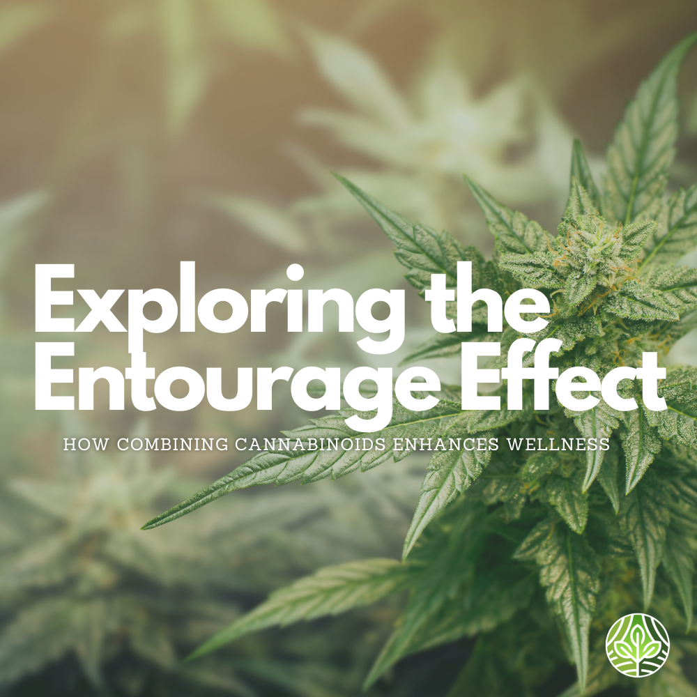 Exploring the Entourage Effect: How Combining Cannabinoids Enhances Wellness