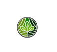 Zenova Health and Wellness 